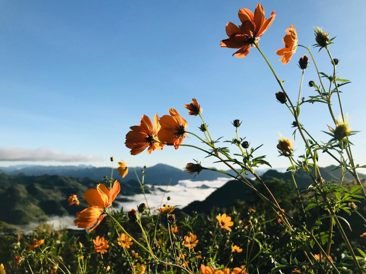 Vuon Tren May - Skyline Farm & Homestay Moc Chau Esterno foto