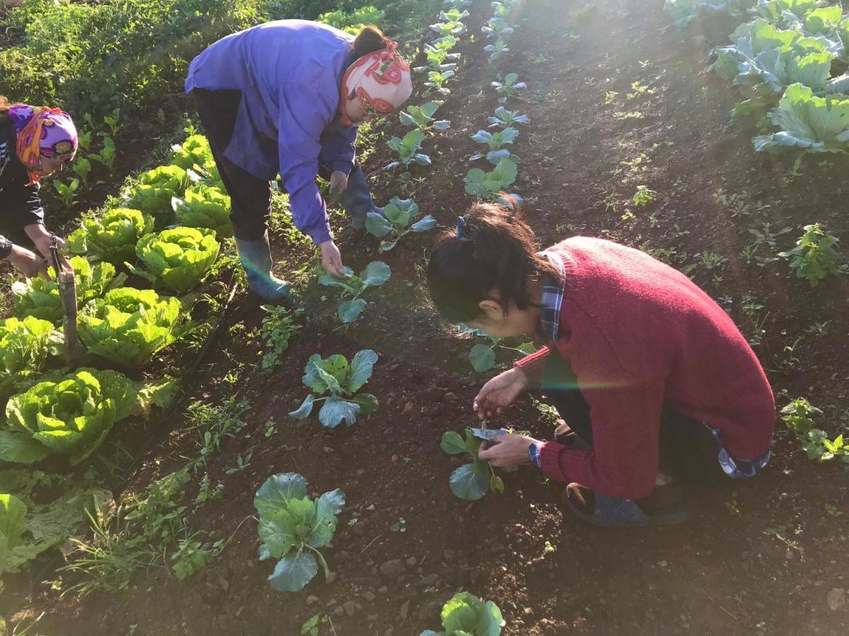 Vuon Tren May - Skyline Farm & Homestay Moc Chau Esterno foto